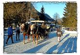 Kutschenfahrt im verschneiten Alpennationalpark Berchtesgaden